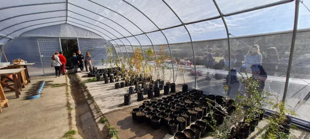 Prometen producción de 10 mil plantas locales desde la Usina de Nativas 