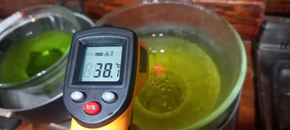 Curso gratuito de extracción cannábica en Bariloche: convertí tu cocina en un laboratorio seguro