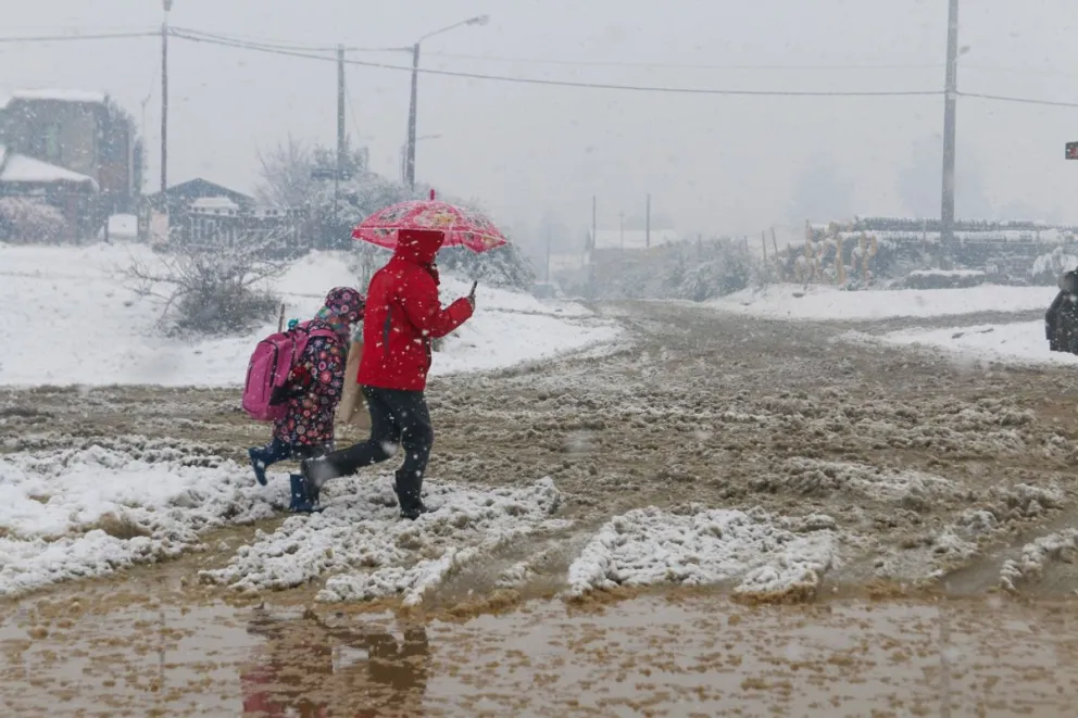 ¿Cómo establece el Consejo Escolar de Bariloche la suspensión de clases?