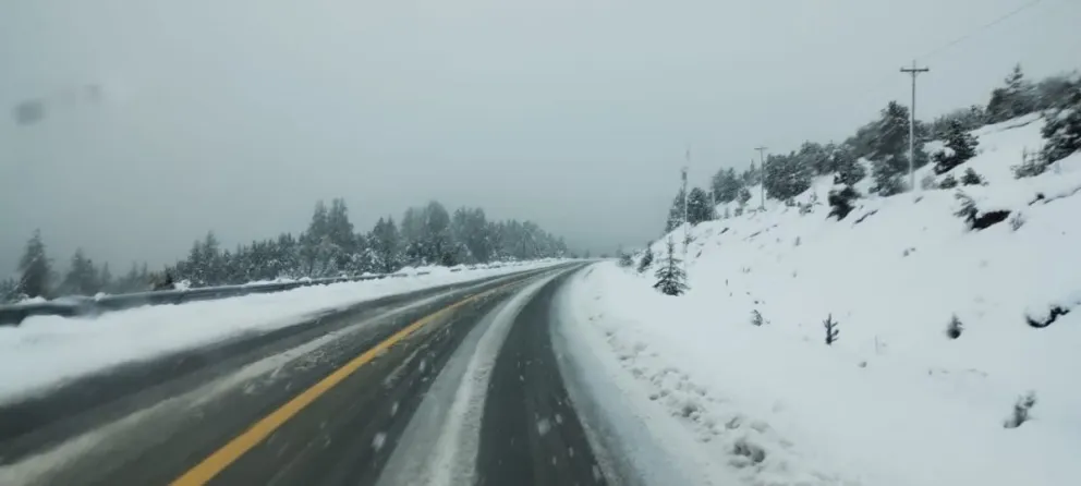 Video: así nevaba este miércoles entre Bariloche y El Bolsón