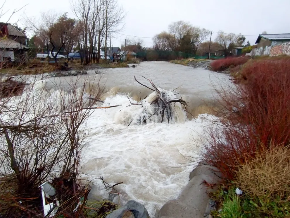 Arroyo ñireco luego de la tormenta / Foto de archivo Facu Pardo 