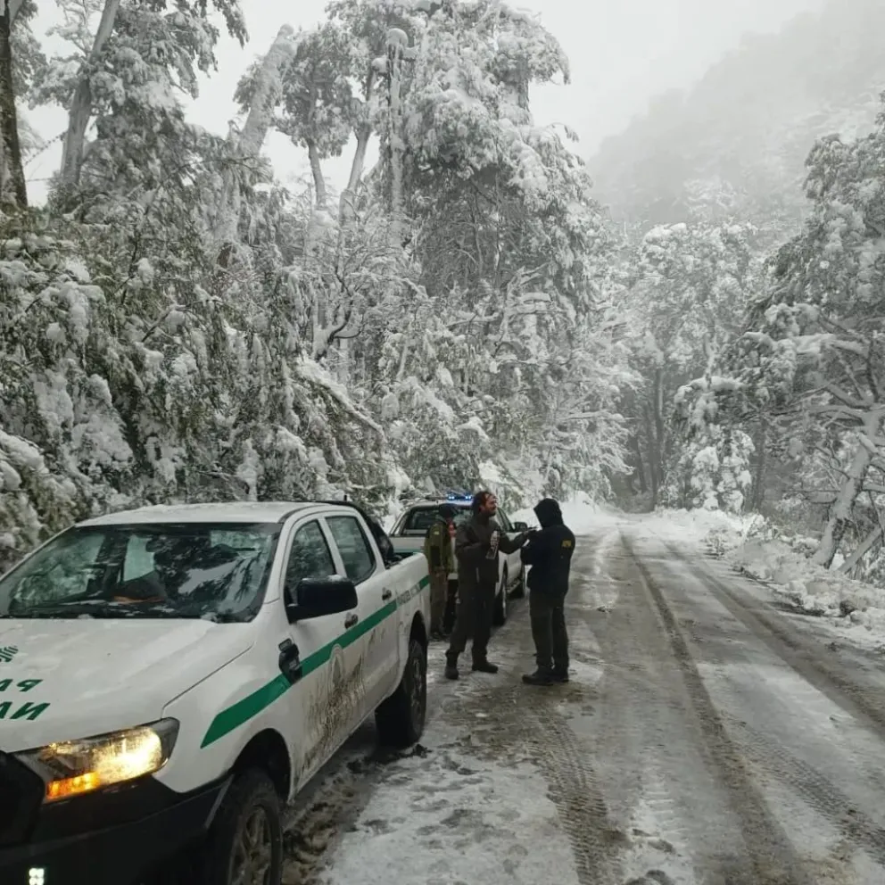 Gran acumulación de nieve en la zona centro y sur del Parque Nacional Nahuel Huapi