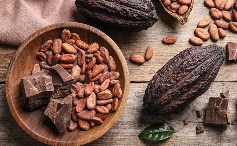 Día mundial del cacao: conocé los cinco beneficios que tiene para la salud este alimento