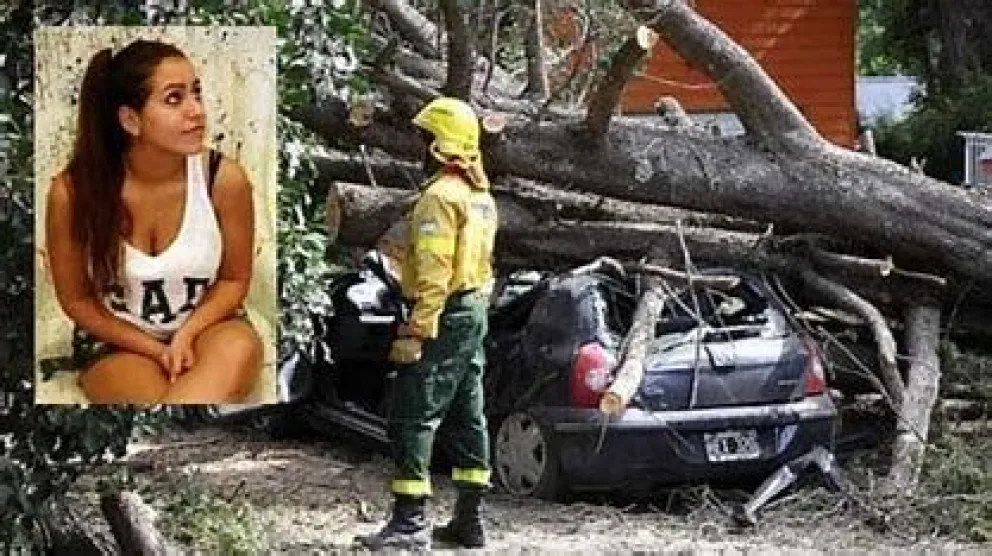 Municipio deberá indemnizar la muerte de una adolescente aplastada por un ciprés