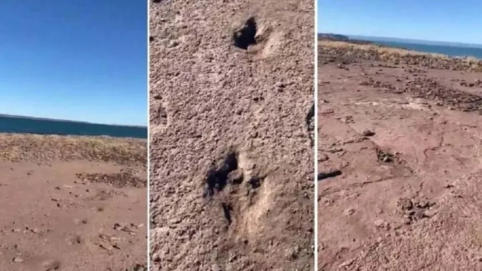 Pescaban en El Chocón y encontraron huellas de dinosaurios