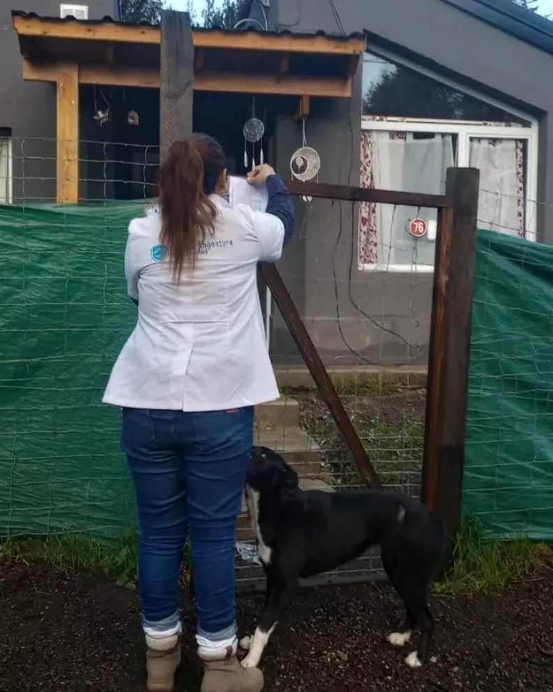 Zoonosis labró infracciones por perros sueltos y entregó folletería informativa