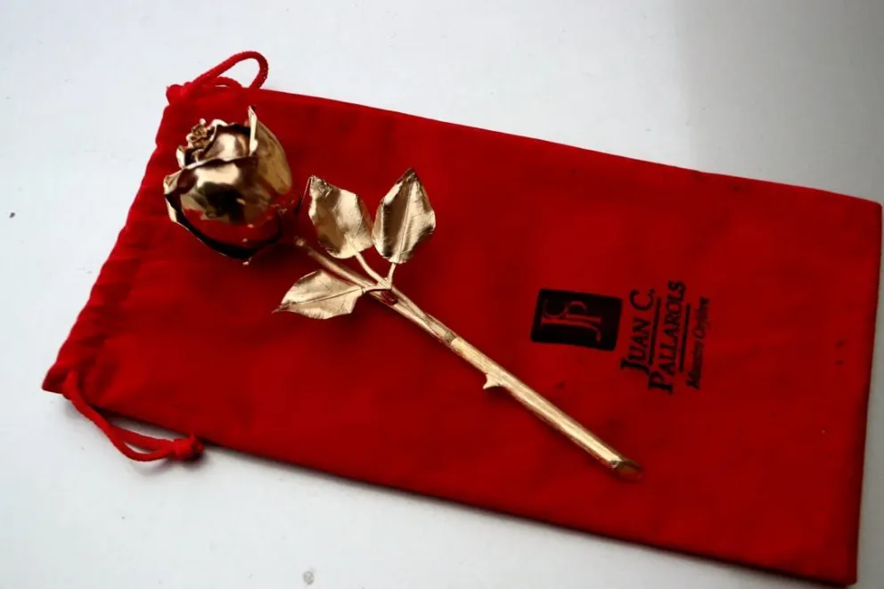 Pallarols ofreció Rosas de la Paz para Bariloche