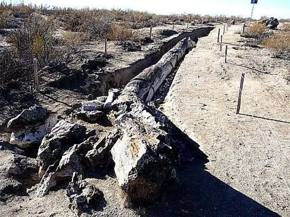62 millones de años atrás, en Valcheta