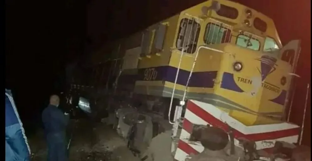 El Tren Patagónico chocó contra un toro y descarriló