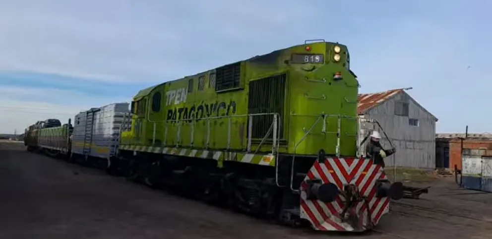 Confirmaron que el Tren Patagónico chocó contra un toro y dieron modificaciones en los traslados