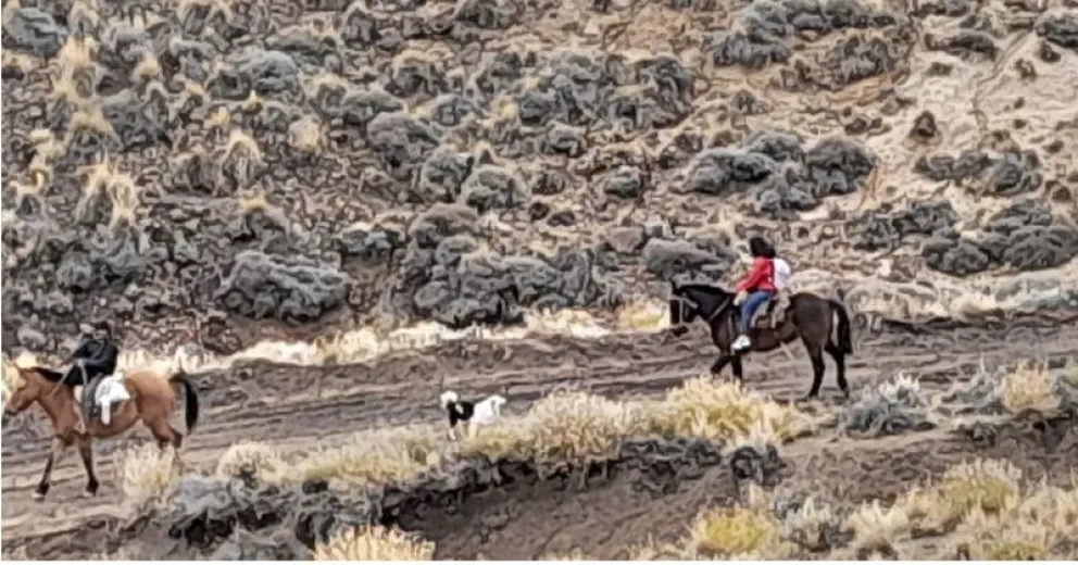 Una adolescente bajó el cerro a caballo para llegar hasta el transporte escolar