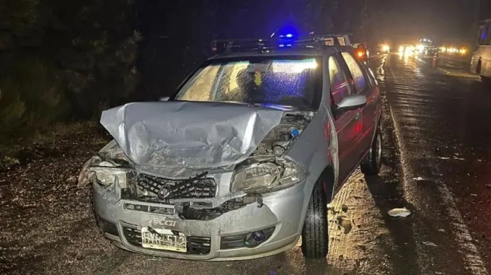 Por el cruce de caballos sobre la calzada se produjo un triple choque en Ruta 40