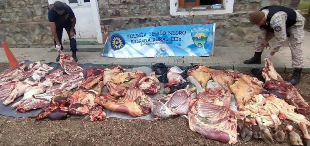 La Policía de Rio Negro decomisó más de 11.000 kilos de carne en lo que va del año 