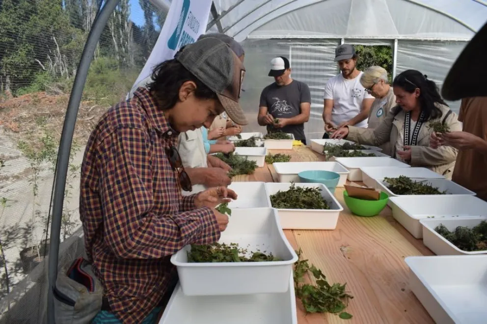La Municipalidad y el Parque Nahuel Huapi seguirán trabajando “codo a codo”