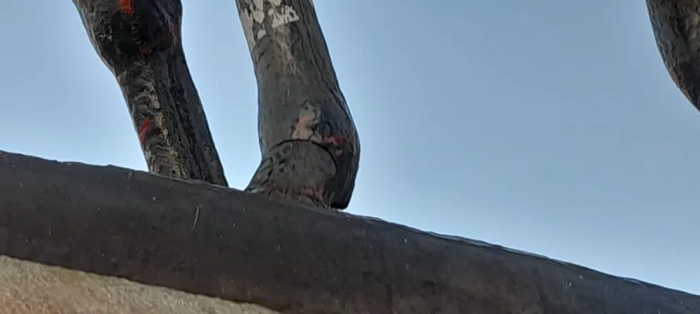 No son actuales los cortes en las patas del caballo de Roca