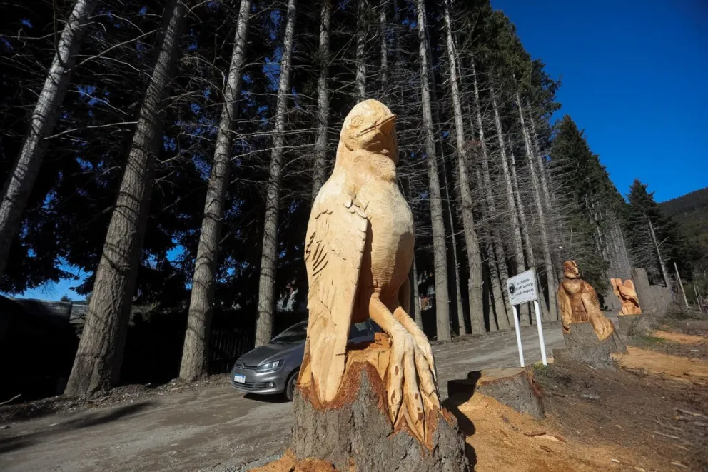 Bariloche tendrá su primer paseo de esculturas en madera