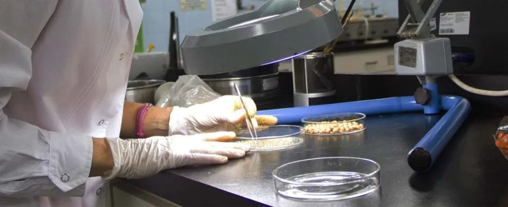 El Gobierno impulsa beneficios fiscales para el desarrollo de la biotecnología y nanotecnología
