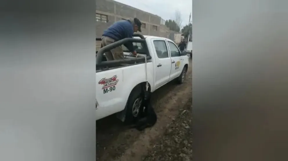 Indignación por brutal maltrato animal: Petroleros colgaban a una perra de su camioneta
