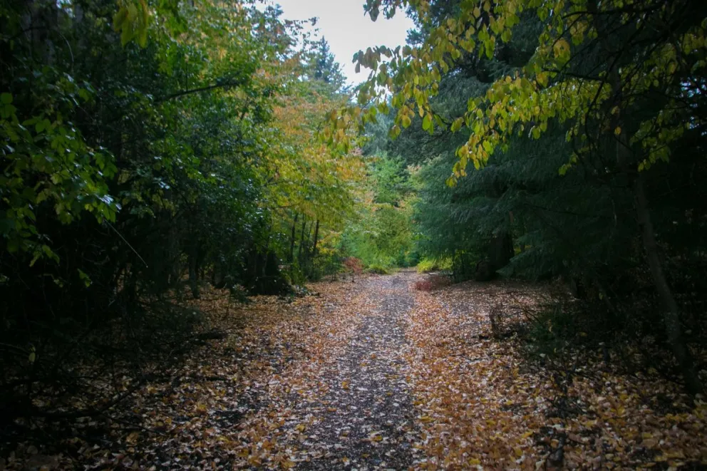 Las ráfagas fuertes representan un peligro para la integridad de las personas.