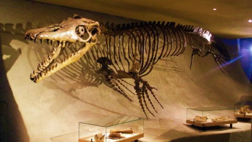 Descubren un misterioso reptil marino con una dentadura que sorprende al mundo 