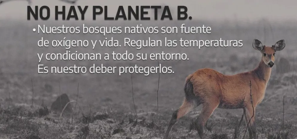 Desde Parques Nacionales difundieron recomendaciones para tener en cuenta en el Día de la Prevención de Incendios Forestales