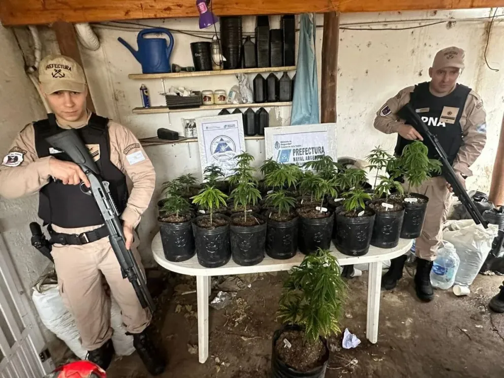 Golpe al narcotráfico: Prefectura decomisó marihuana valuada en 55 millones de pesos