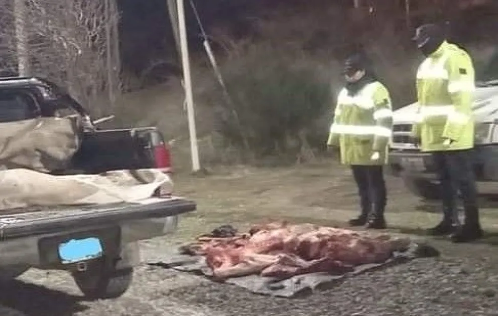 Seguridad Vial decomisó un ternero faenado y transportado ilegalmente