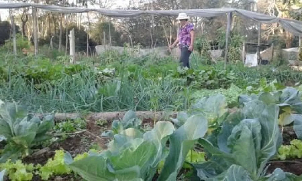 Se realizará el Encuentro Regional del Plan de Acción de Agricultura Familiar, Campesina e Indígena