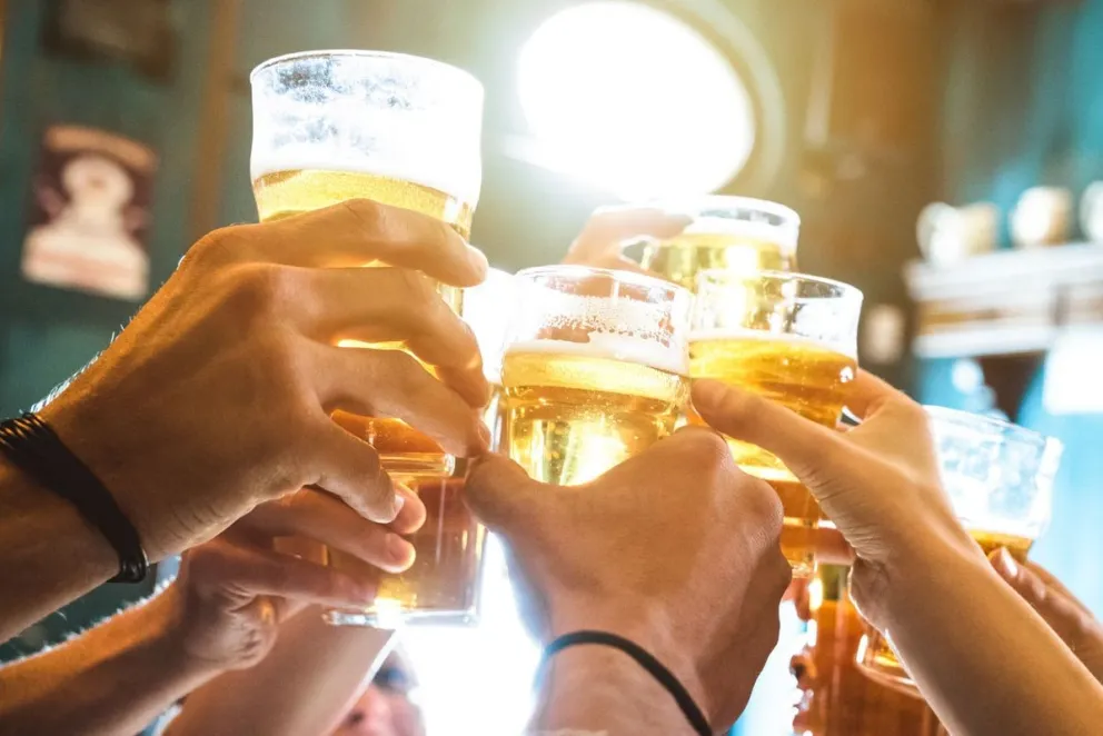 desarrollar un estimulante biológico de semillas enriquecido con selenio y elaborado a partir del extracto del bagazo de cerveza.