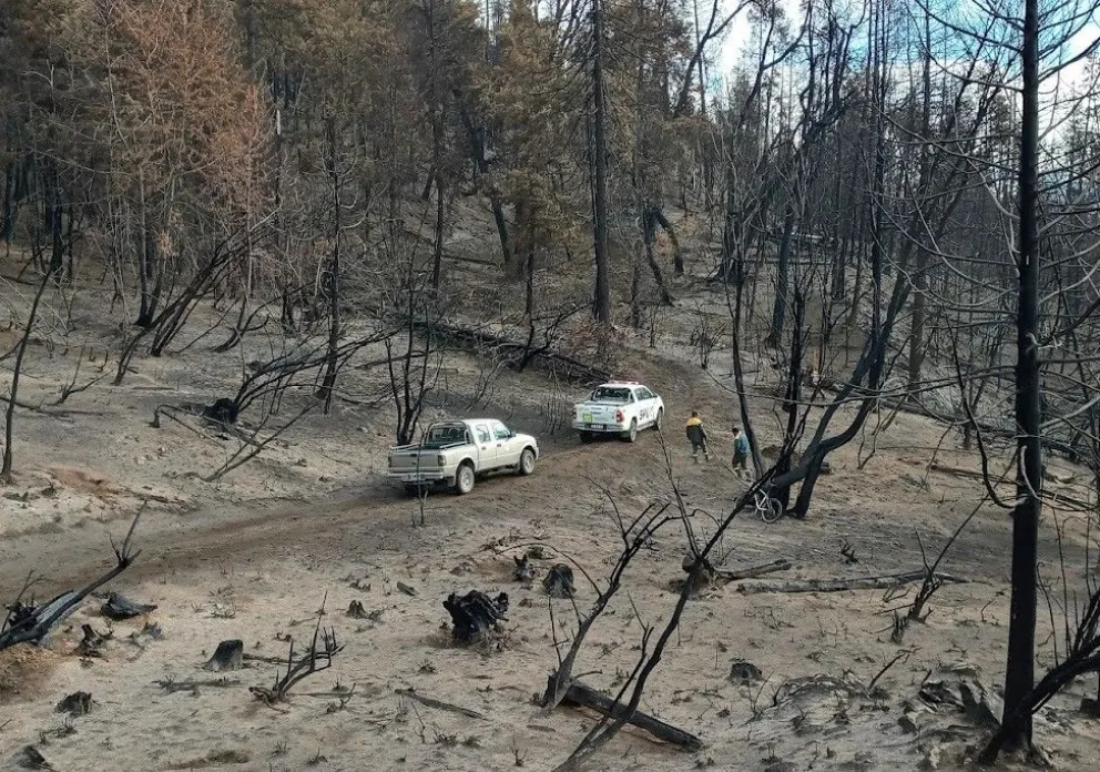 Alumnos de una escuela primaria participarán de la reforestación de la Reserva Natural Loma del Medio