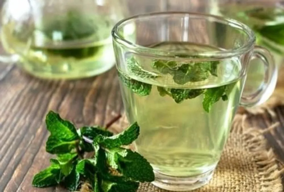 Los beneficios desconocidos del té de albahaca sagrada
