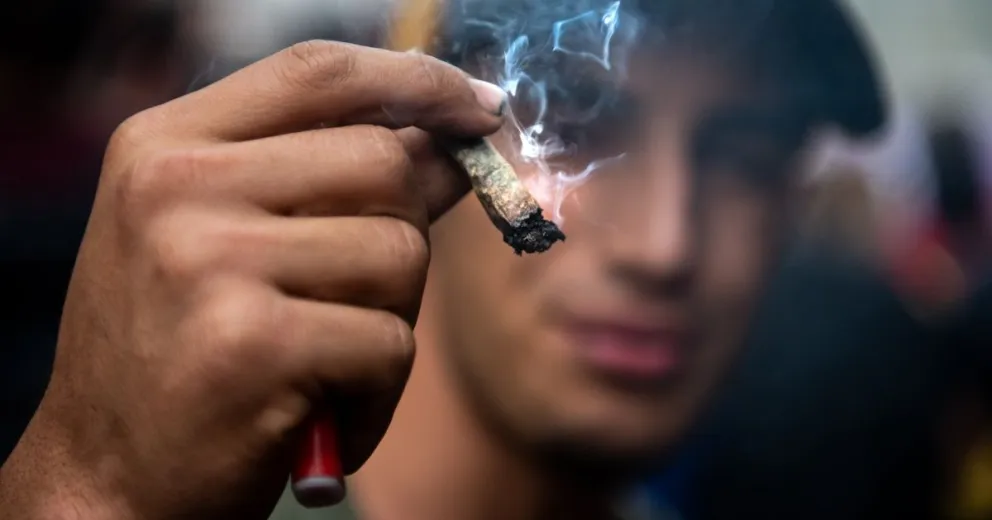 Aumenta el consumo de marihuana en Argentina según nueva encuesta