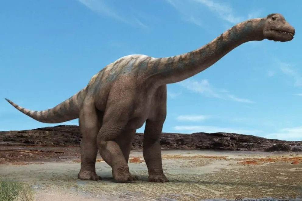 Mares y bosques tropicales: Patagonia en tiempo de dinosaurios