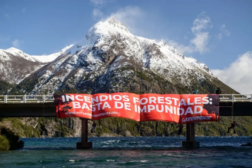 Activistas de Greenpeace se colgaron de un puente para visibilizar el reclamo por la protección de los bosques