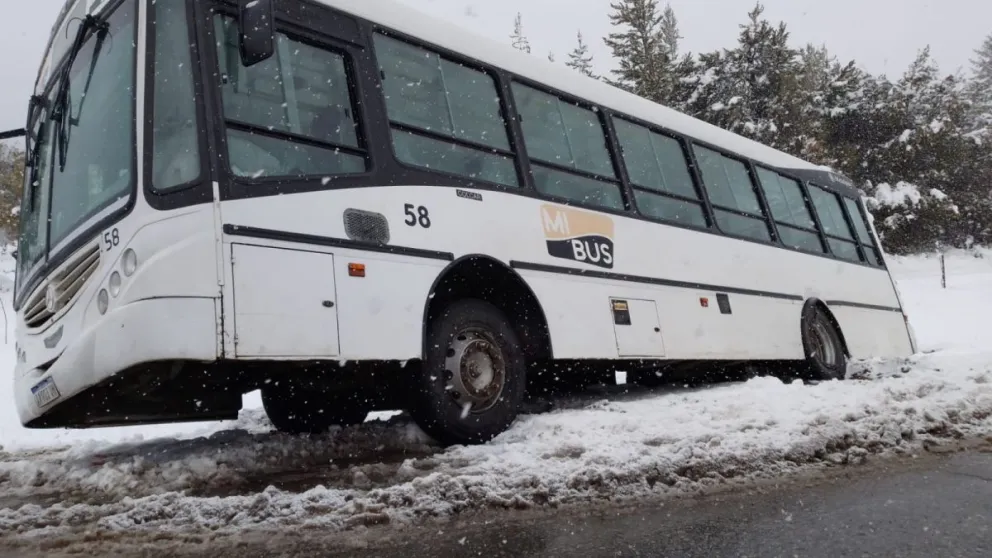 Colectivo de Mi Bus despistó y terminó en la banquina en la zona de Virgen de las Nieves