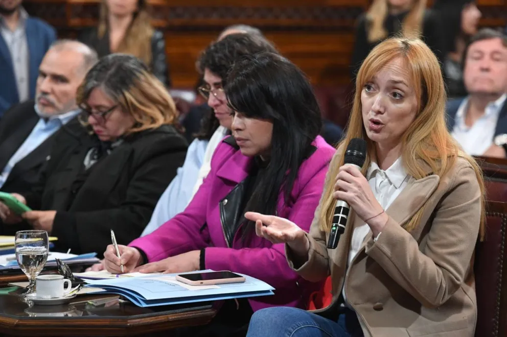 Weretilneck participó del tratamiento del proyecto de los créditos UVA