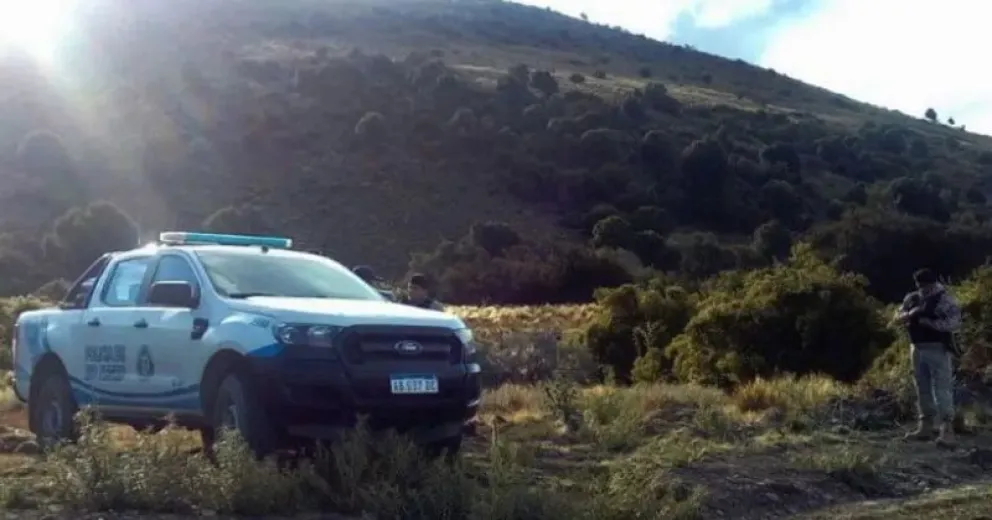 Carnearon y sustrajeron seis ovejas preñadas de la estancia El Cóndor