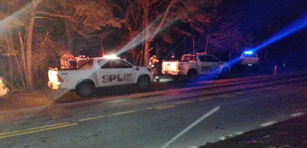 La búsqueda de Damiana se traslada al brazo Tristeza y rincones de Circuito Chico