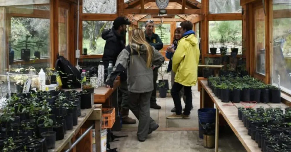 En el Día Nacional de la Botánica se resalta el vivero de isla Victoria