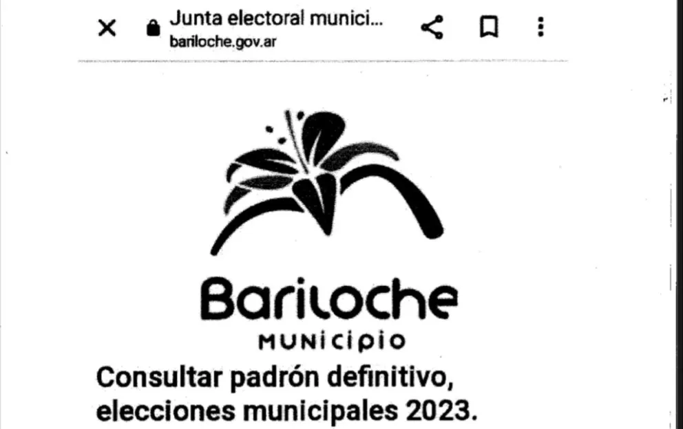 Denuncian a la Junta Electoral por no usar el logo oficial de Bariloche