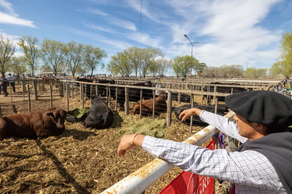 La Sociedad Rural de Bariloche respaldó las expresiones del ministro Banacloy