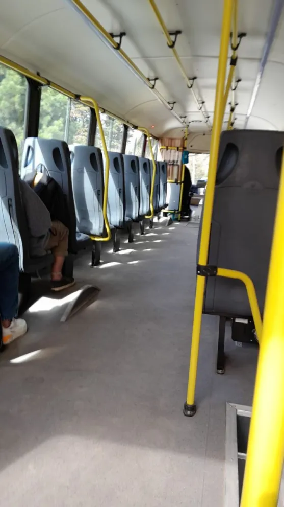 Comienzan a circular las nuevas unidades de Mi Bus en Bariloche
