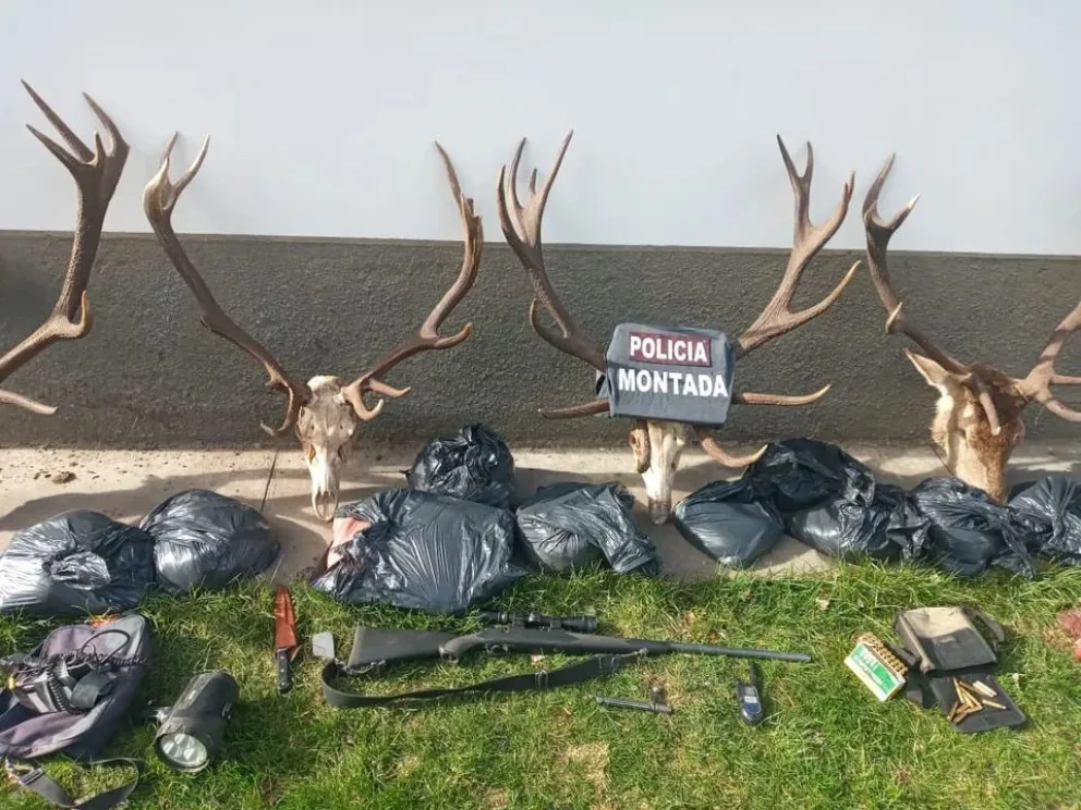 Un enfermero de El Bolsón circulaba con carne de ciervo y armas