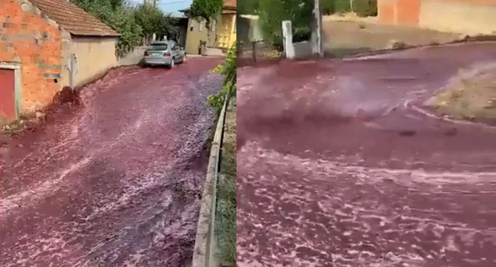 Video impactante: dos millones de litros de vino inundaron las calles en Portugal