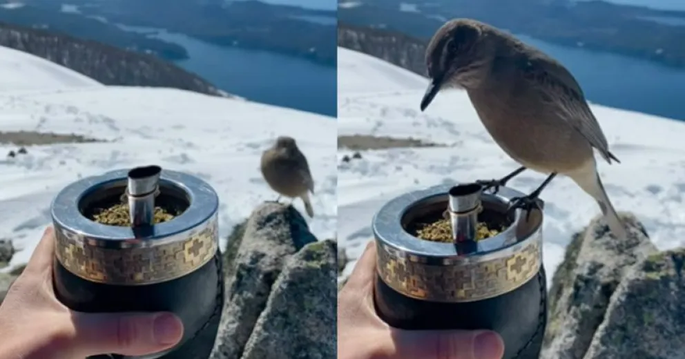 El placer de tomar mate acompañado en Bariloche