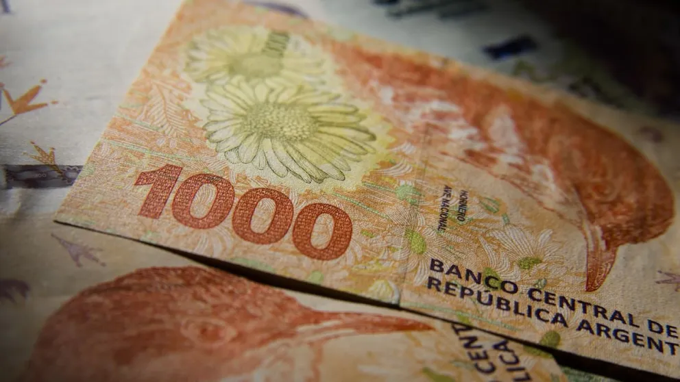 El Gobierno confirmó el pago de un bono de $20.000 para desempleados: los detalles