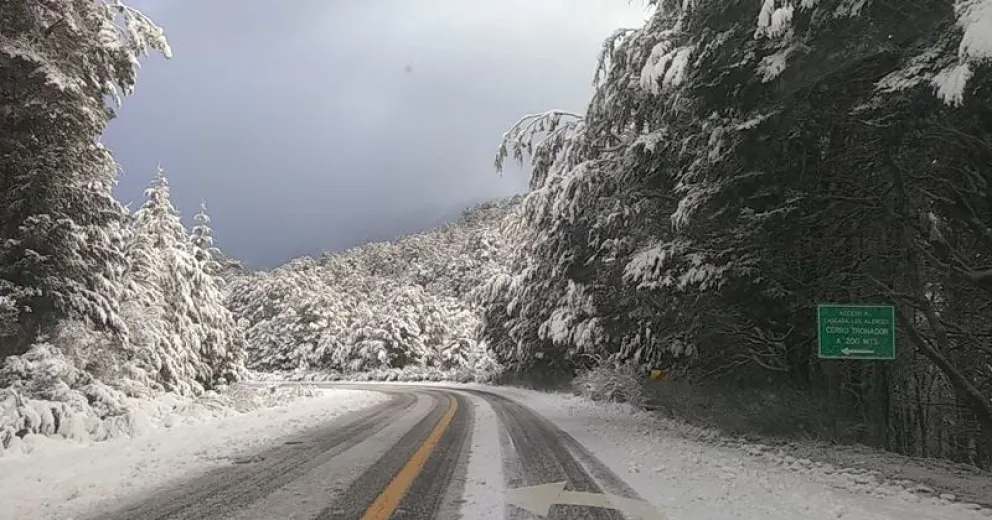 Mucho cuidado al transitar el tramo Bariloche - El Bolsón en Ruta 40