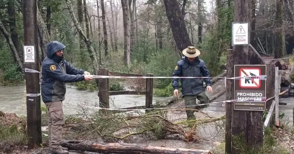 Trabajos de emergencia en los caminos y senderos tras el fuerte temporal