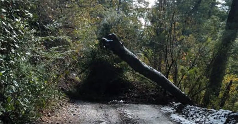 Alud cortó por completo el acceso a Paso El León