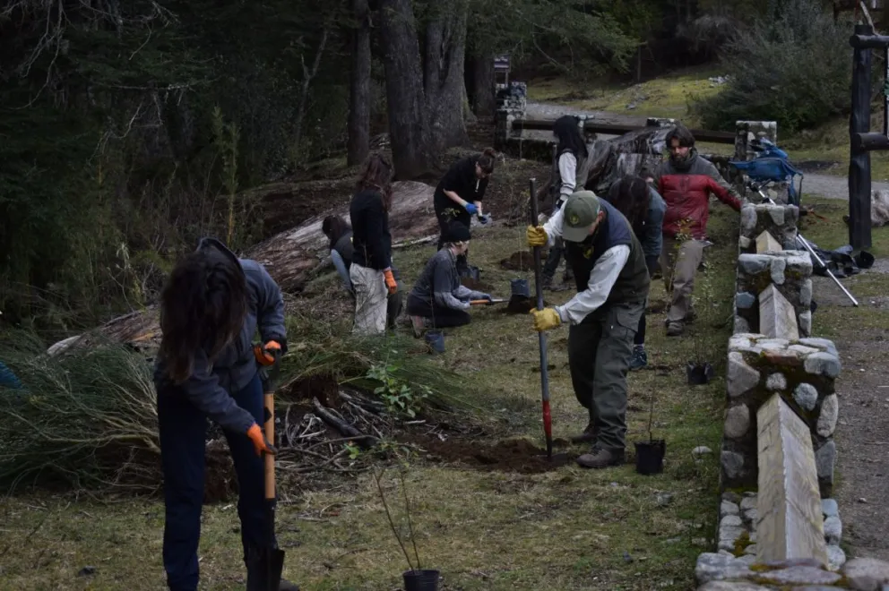 Realizaron una jornada de plantación de nativas y extracción de exóticas